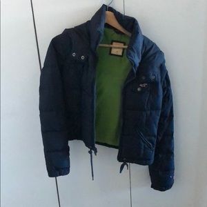 Hollister Winter Jacket